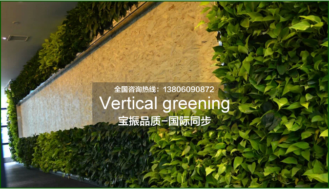 怎样建造是室外垂直绿化植物墙才能避免强风危害